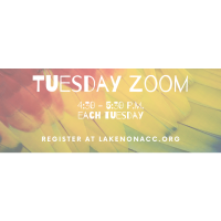 Tuesday Zoom -  Lessons Learned - The Positives Gained