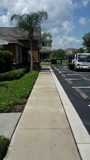 Sidewalks & Curbs Sidewalks & Curbs