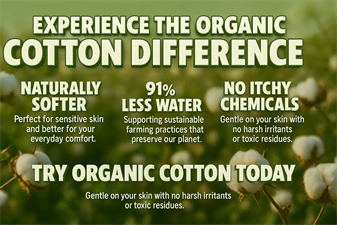 Design Delight Studio