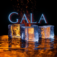 25th Annual GALA