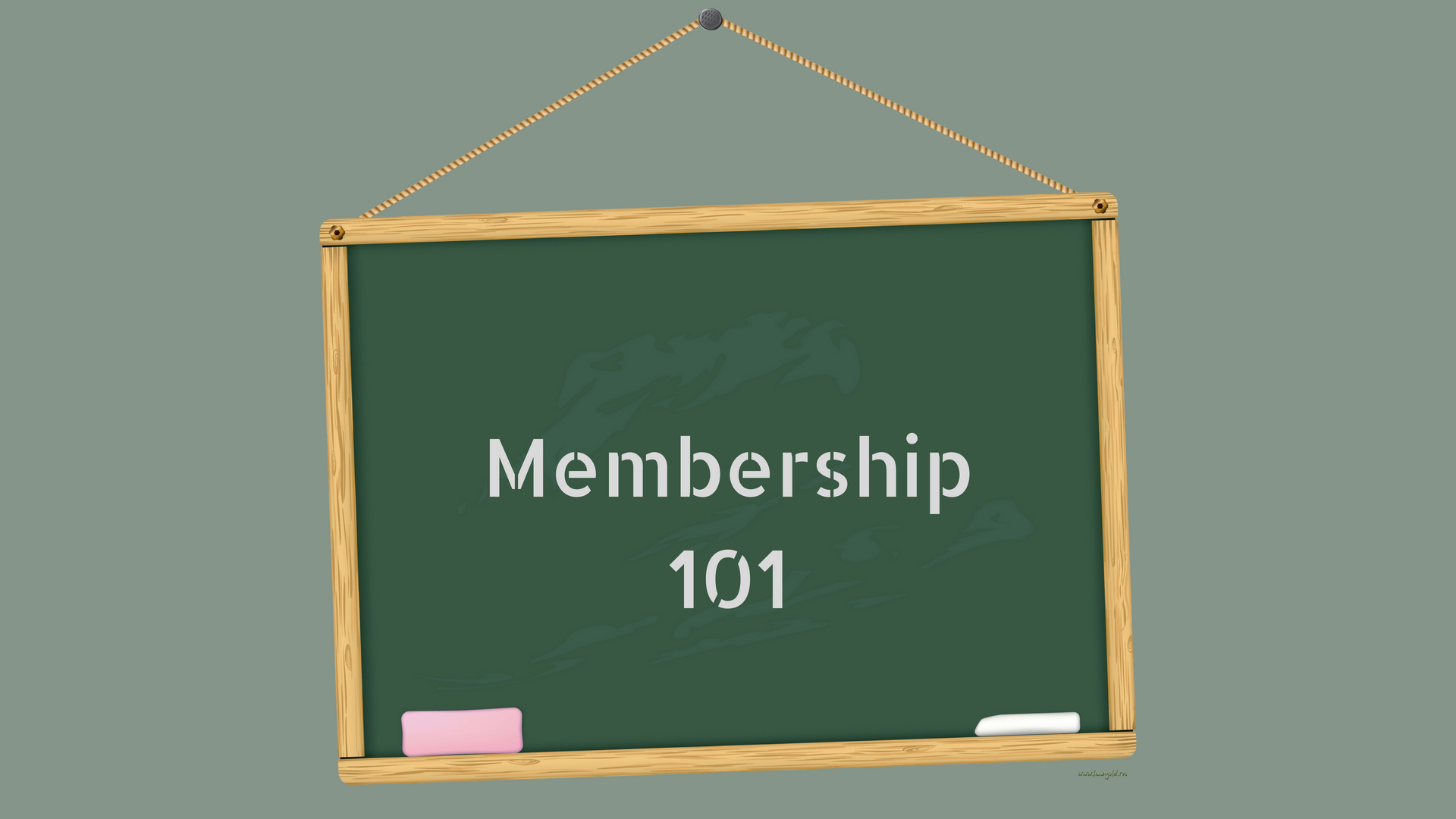 Membership 101:  Member Hub Portal