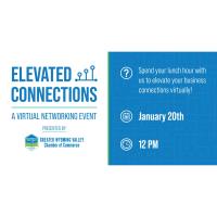 Elevated Connections: Virtual Networking Event