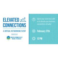 Elevated Connections: Virtual Networking Event