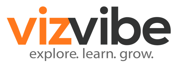 VizVibe LLC