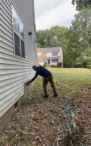 Removing vine from underneath siding