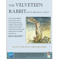 The Velveteen Rabbit 100th Birthday Party @ The Waseca Public Library