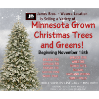 Minnesota Grown Christmas Trees and Greens @ James Bros. Waseca Location