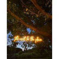 United Way Night: Making a Difference 1 Piece at a Time