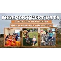 MEA Discovery Days + Llama Visit @ Farmamerica