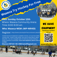 Try Hockey for Free