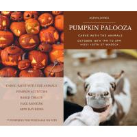 Pumpkin Palooza
