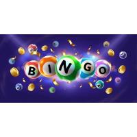 Sleigh & Cutter DreamCatcher Bingo @ Barden's Bar