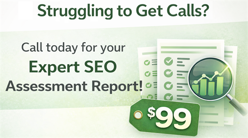 Local SEO Assessment Report - Just 99$