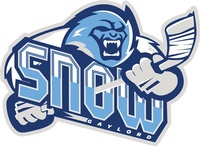 Gaylord Snow Hockey
