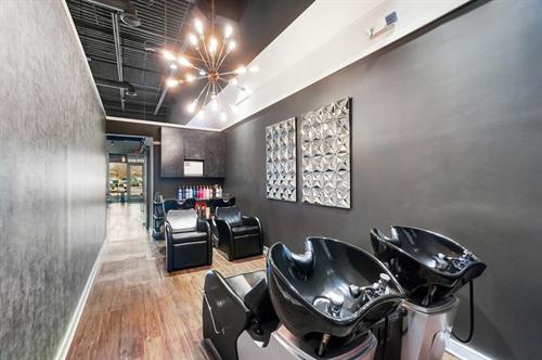 Gallery Image New_Albany_Shampoo.jpg