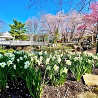 Easter Brunch at Cherry Valley Hotel