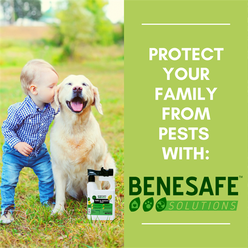 Protect your family from pests with Benesafe!