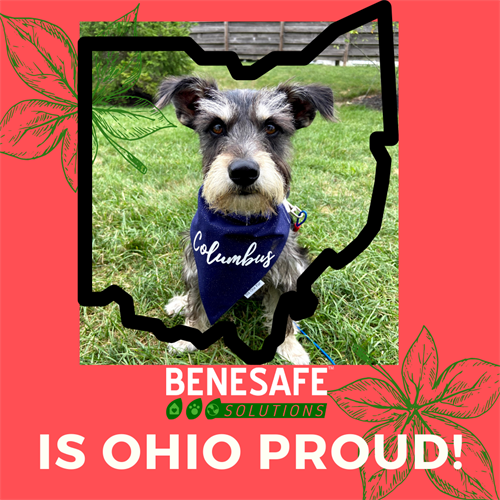 Benesafe is Ohio Proud! Benny loves Columbus. 