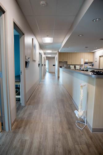 Hallway of CPI clinic.  Our clinic has 10 exam rooms, 1 consultation suite, 1 procedure room, and one post op/recovery suite.