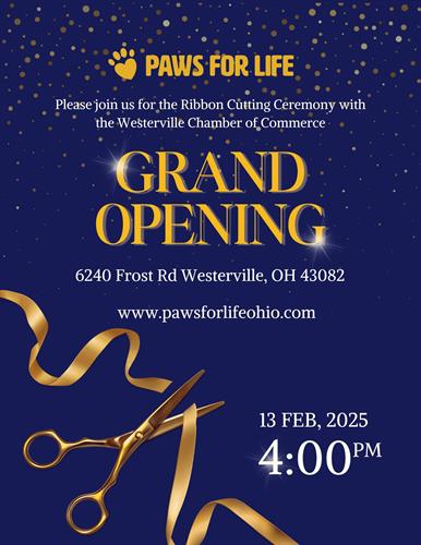 Grand Opening...