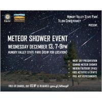 Meteor Shower Event