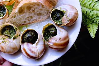 Bergerac PDX Bergerac PDX