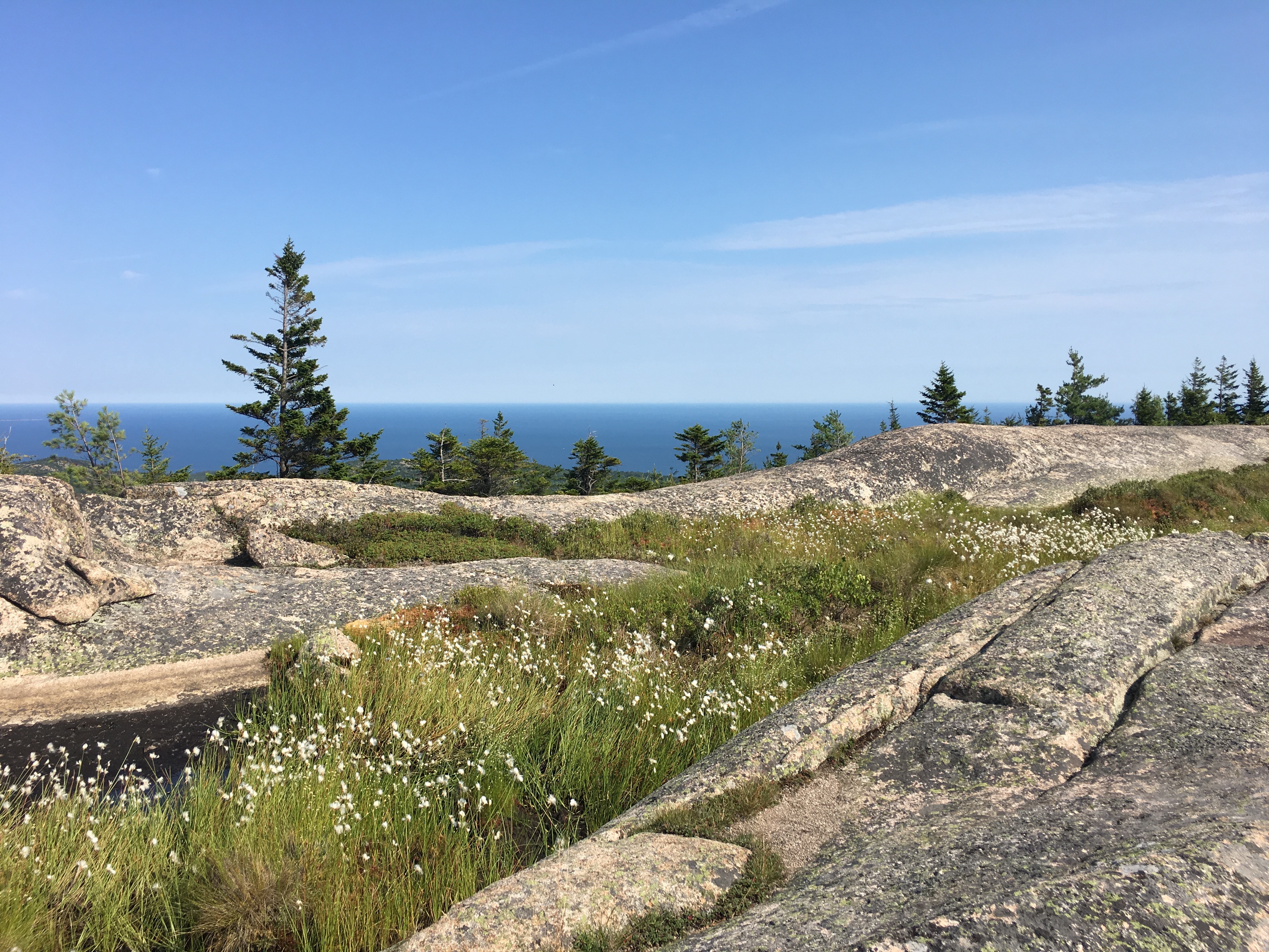 Image for Why You Should Visit Bar Harbor & Acadia In The Spring: Eclipse, Tips, and More