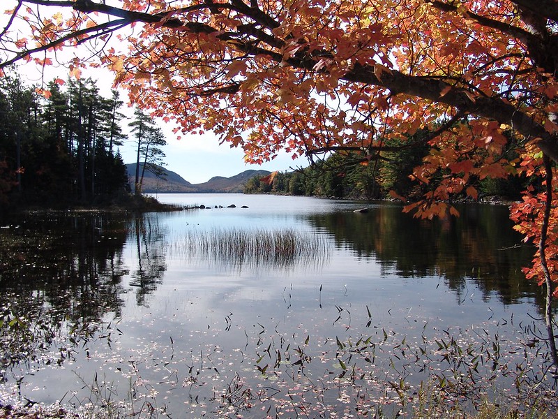 Image for Plan Your Fall Escape to Bar Harbor & Acadia National Park!