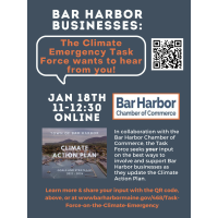 Climate Emergency Task Force Business Listening Session