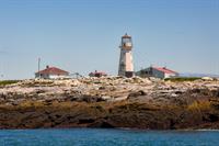 Downeast Pelagic Seabird & Lighthouses Trip