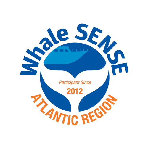 We believe in responsible whale watching! We are proud to be Whale SENSE Company!