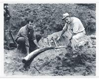 Swan’s Islander shares how he found a Wooly Mammoth in Maine