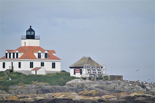 There are many opportunities for photographs of lighthouses and wildlife during this cruise! 