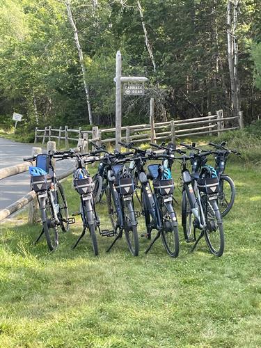 A group of ebikes heading out on the Carriage Roads.
