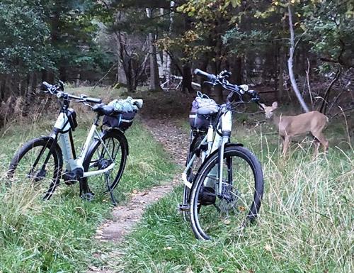 Don't let the wildlife hijack your ebike.