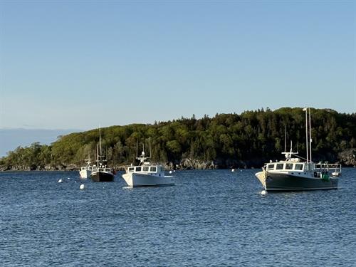 Lobster boats anchored in the Bar Harbor marina. 