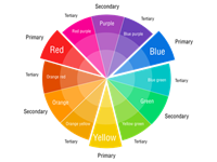 Color Theory for Visual Artists