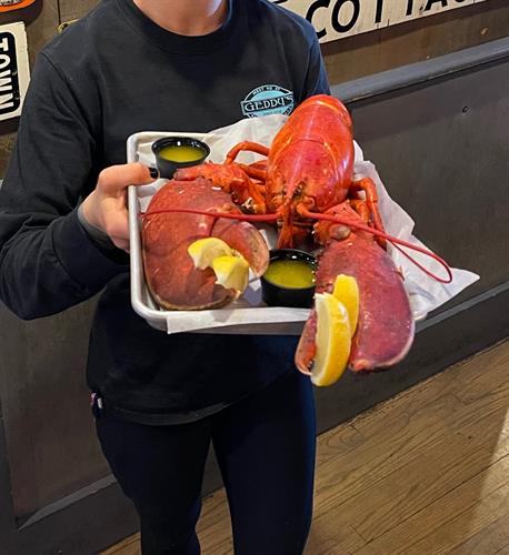 Searching for jumbo lobsters? Find them at Geddy's in Bar Harbor