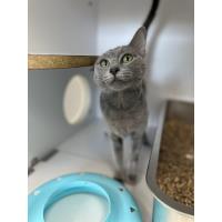 Pet of The Week: Squirrel (8/18/2025)