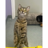 Pet of The Week 5/27