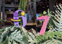 Ho-LED-day Studio at the Montshire