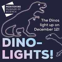 Dino Lights: A Walk Through The Ages