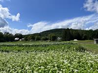 Cedar Circle Farm & Education Center