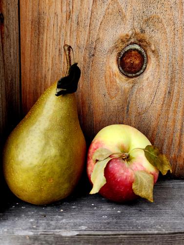 Pears and apples from Sweetland's orchard