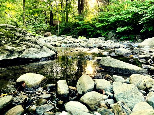Mink Brook runs past Love & Moxie's location in the Upper Valley