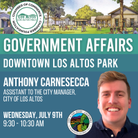 Government Affairs Committee Meeting