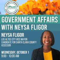 Government Affairs Committee Meeting