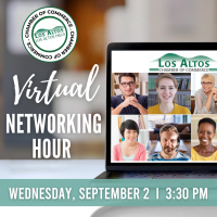 Chamber Virtual Networking Hour