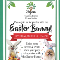 Dogma Photos with the Easter Bunny