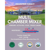 Silicon Valley Multi Chamber Mixer